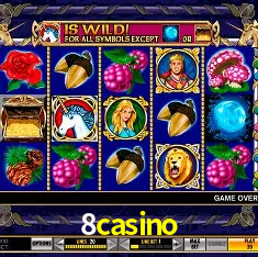 8casino Rio de Janeiro - Bonus Terms